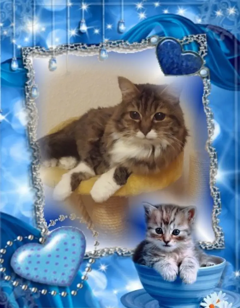 Andachtsbild von ❤️❤️❤️