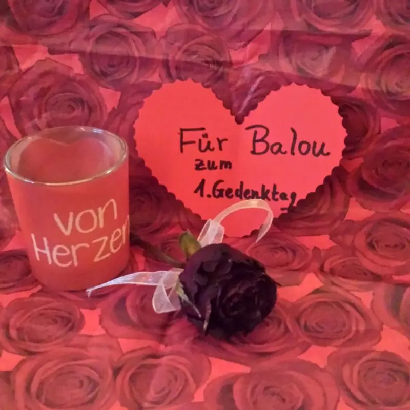 Andachtsbild von Marika mit Balou und Hippo im Herzen