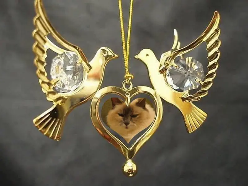 Andachtsbild von Uschi mit Seelenkatzen Jojo und Merlin