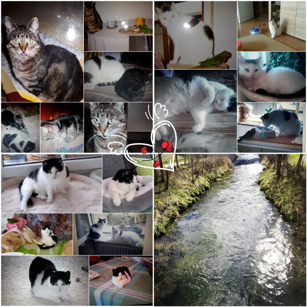 Andachtsbild von Eike und Edeltraud ♥️