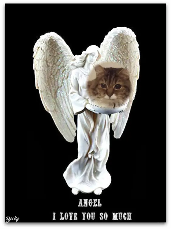 Andachtsbild von ❤️❤️❤️