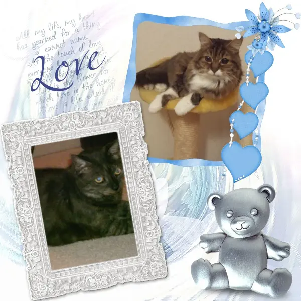 Andachtsbild von ❤️❤️❤️