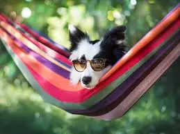 Andachtsbild von Nelly