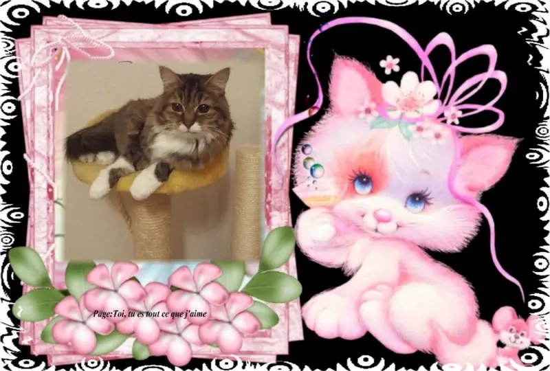 Andachtsbild von ❤️❤️❤️