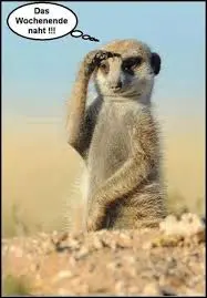 Andachtsbild von Brigitte mit Nelly, Benny und Axel im Herzen