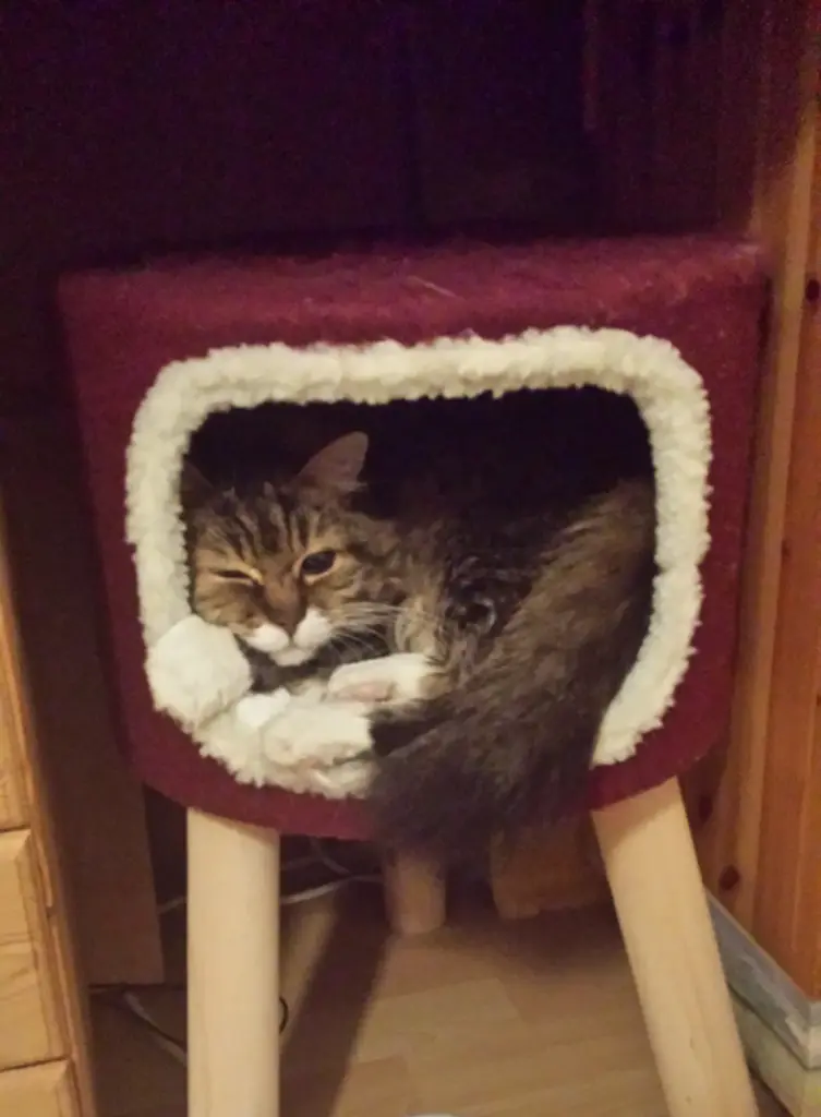 Andachtsbild von deiner Ilse, drei Monate ohne Dich