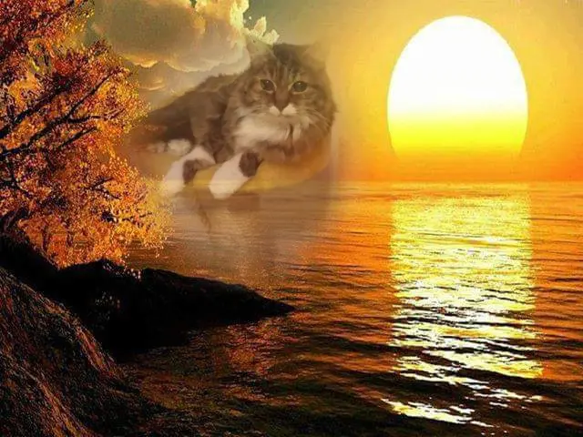 Andachtsbild von ❤️❤️❤️