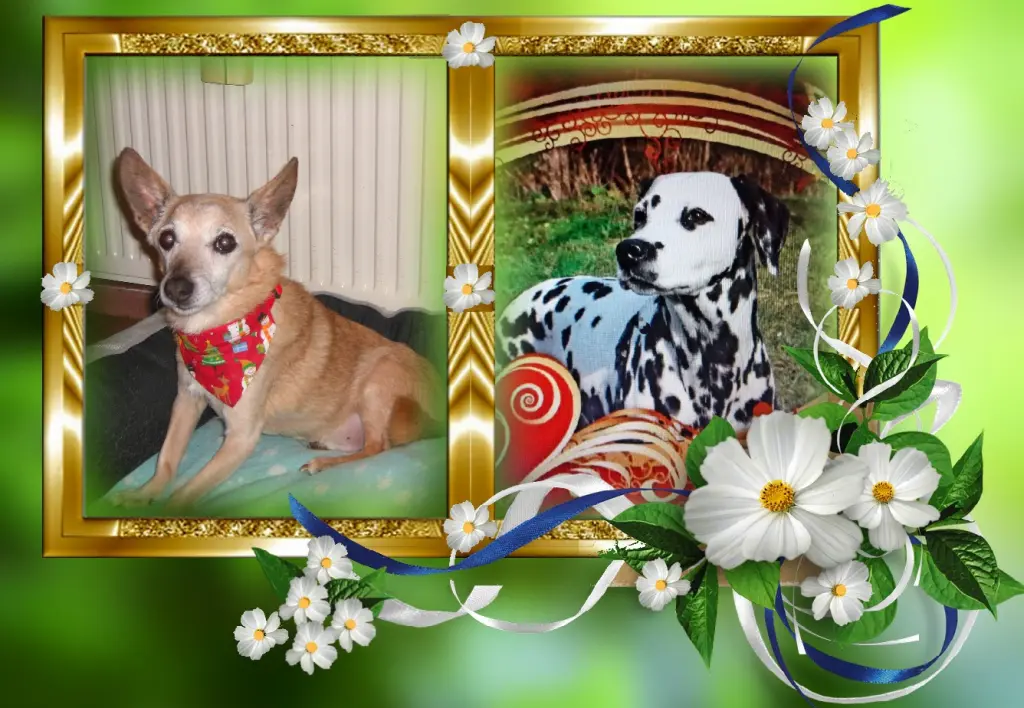 Andachtsbild von Michaela mit Nicko und Ariane ganz tief im ❤