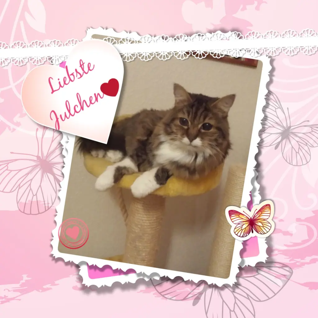 Andachtsbild von ❤️❤️❤️