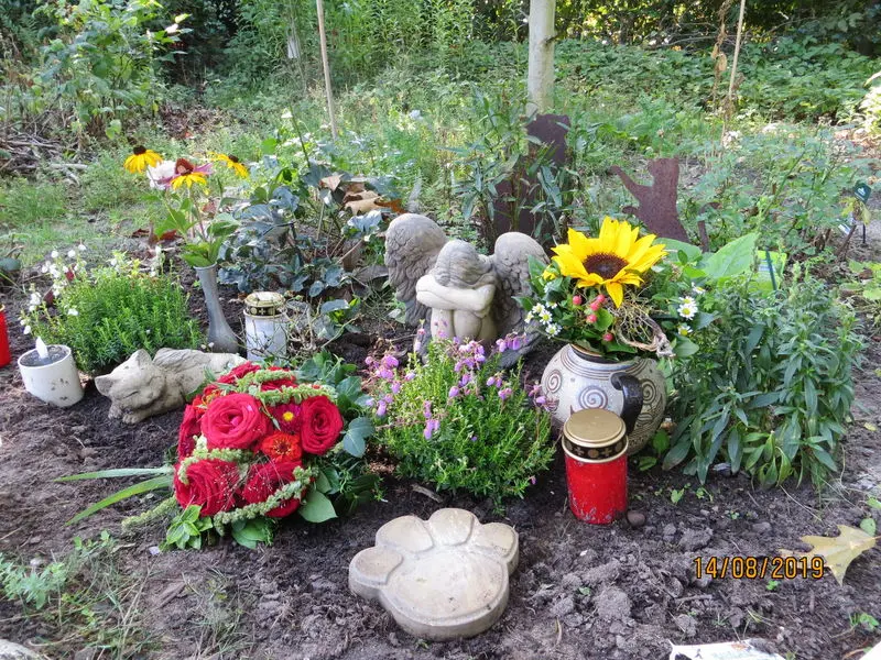 Andachtsbild von Uschi mit Seelenfreunden  Shiva, Jojo und Merlin