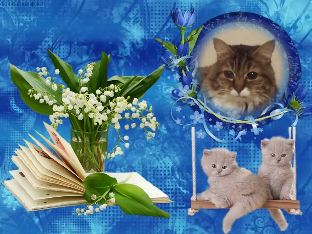 Andachtsbild von ❤️❤️❤️