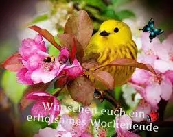 Andachtsbild von Brigitte mit Nelly, Benny und Axel im Herzen