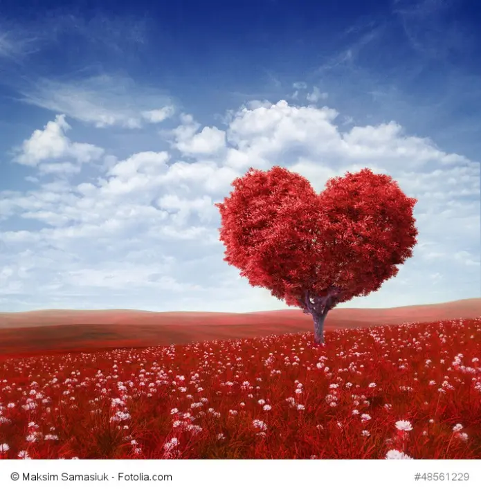 Andachtsbild von Michaela mit Nicko und Ariane ganz tief im ❤