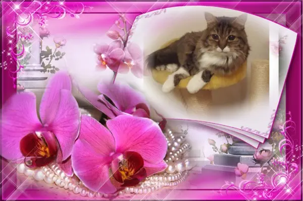 Andachtsbild von ❤️❤️❤️