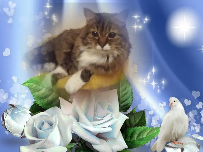 Andachtsbild von ❤️❤️❤️