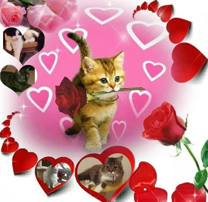 Andachtsbild von ❤️❤️❤️