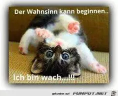 Andachtsbild von Brigitte mit Nelly, Benny und Axel im Herzen