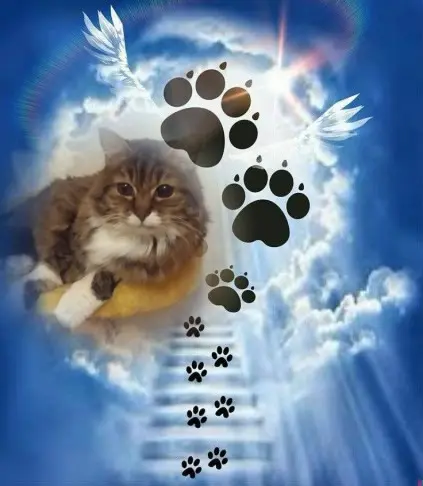 Andachtsbild von ❤️❤️❤️