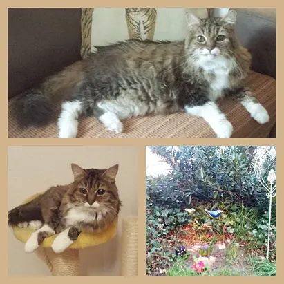 Andachtsbild von deiner Ilse, 6 Monate ohne dich