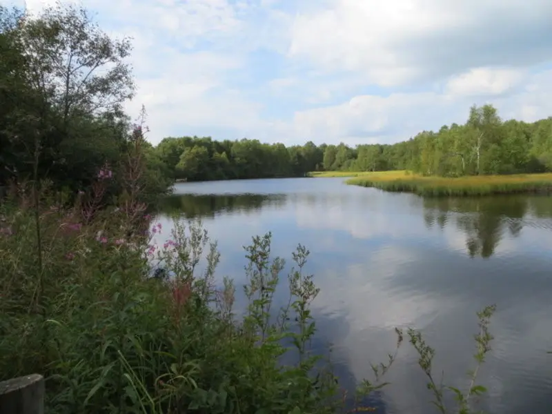Andachtsbild von zwei Freunde aus dem Regenbogenland