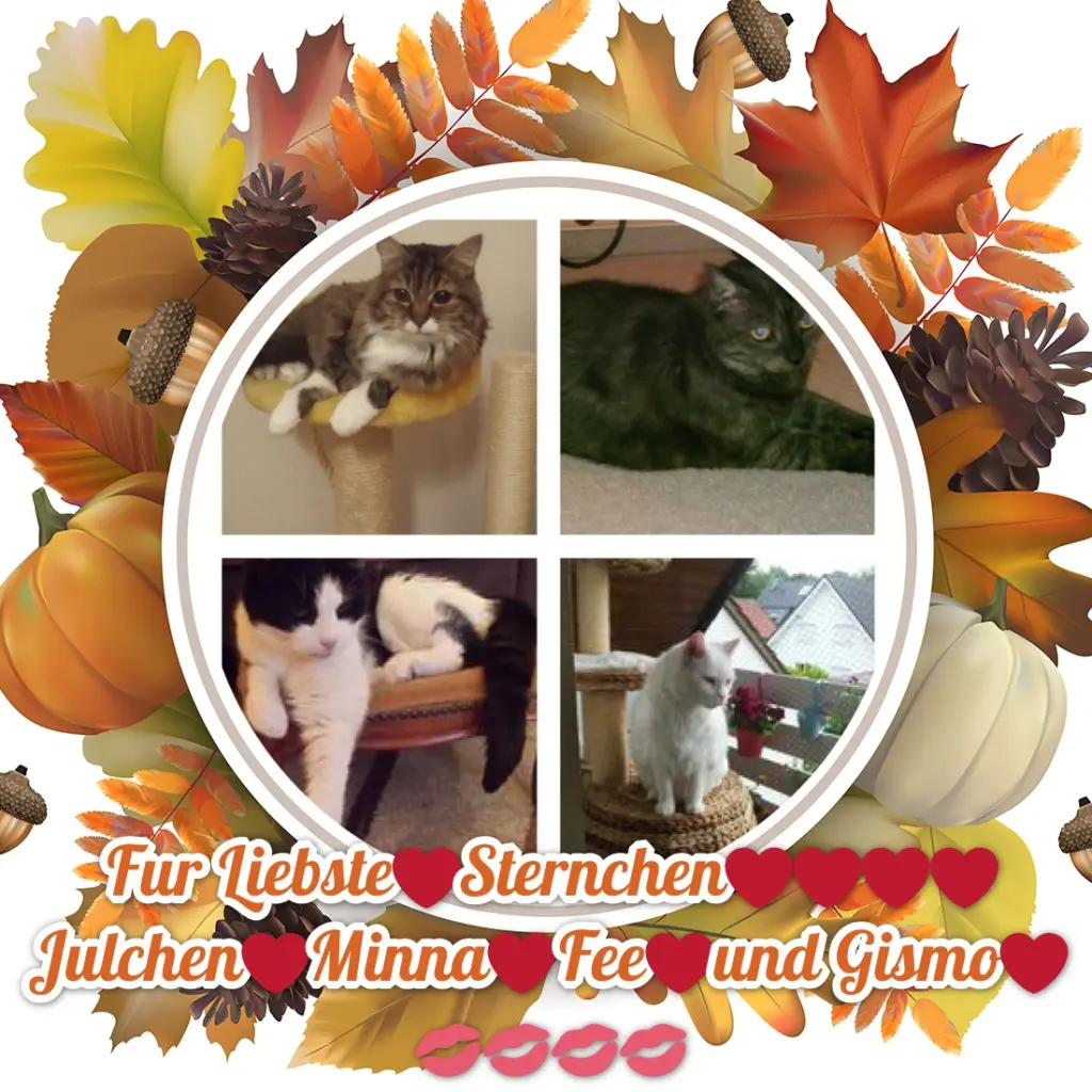 Andachtsbild von ❤️❤️❤️