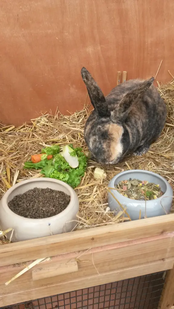 Andachtsbild von Corinna