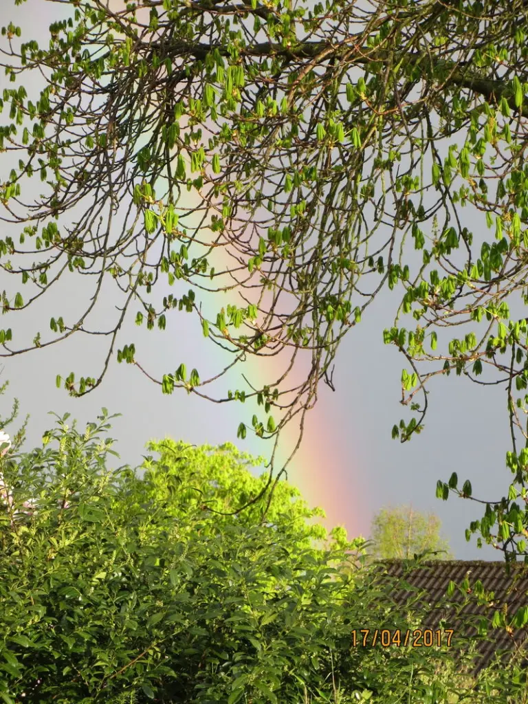 Andachtsbild von Ariane, Regenbogenland