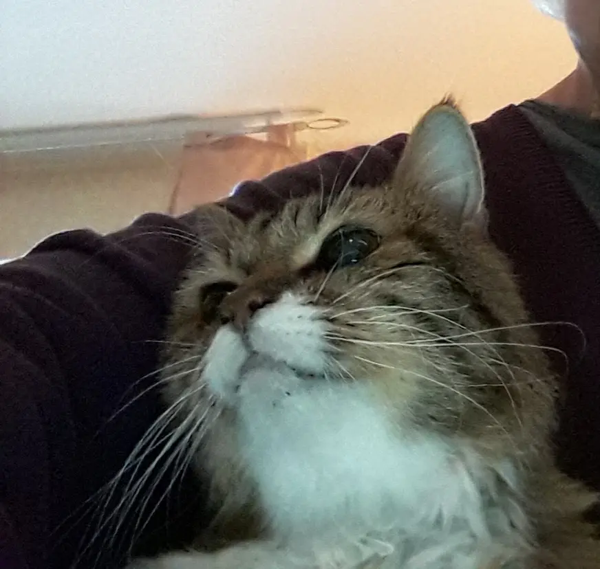 Andachtsbild von deiner Ilse in Liebe