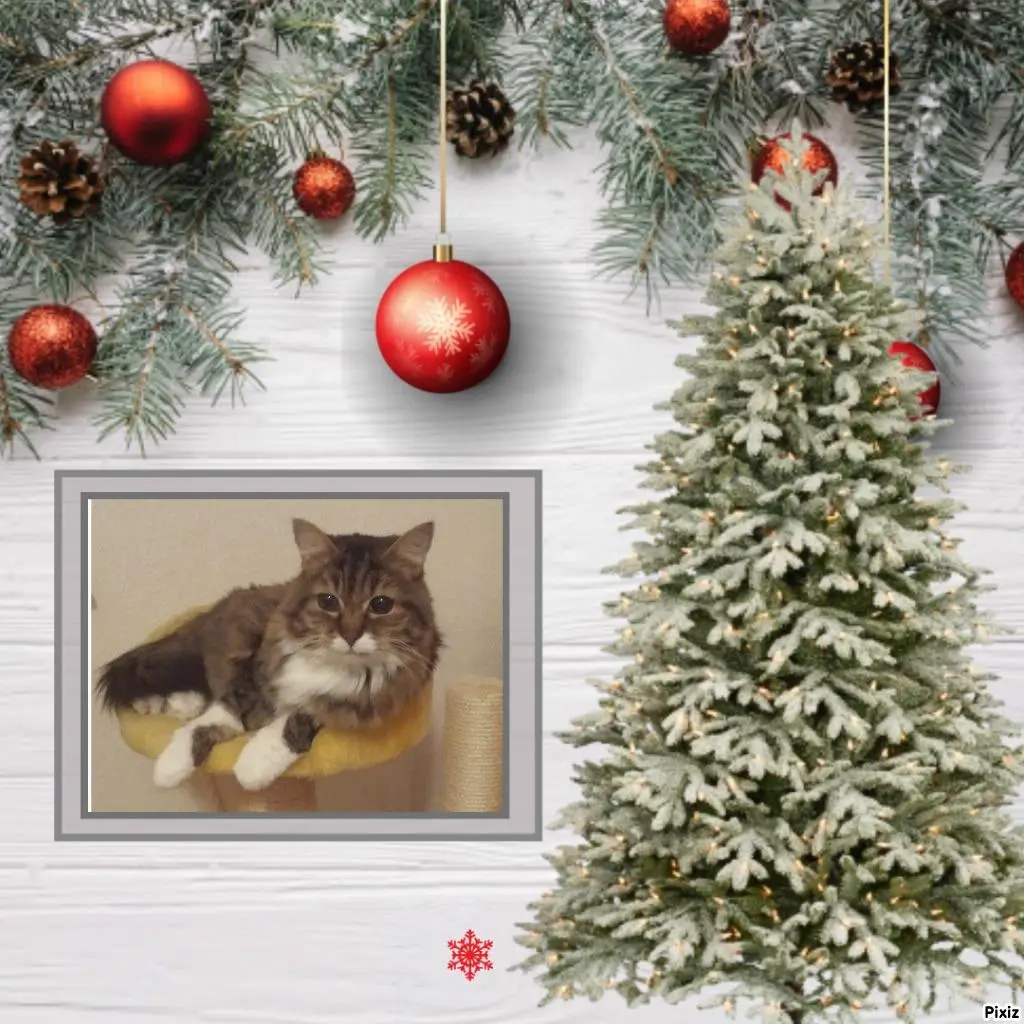 Andachtsbild von Jutta und Axel mit Purzel tief im Herzen ✟ 08.05.2016