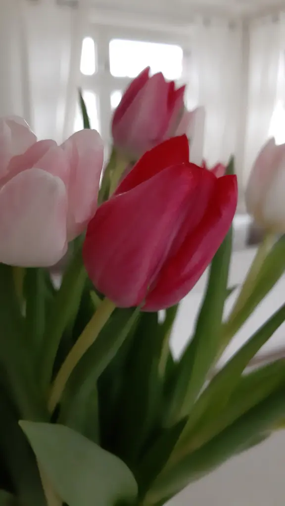 Andachtsbild von Anja mit Joy im Herzen 