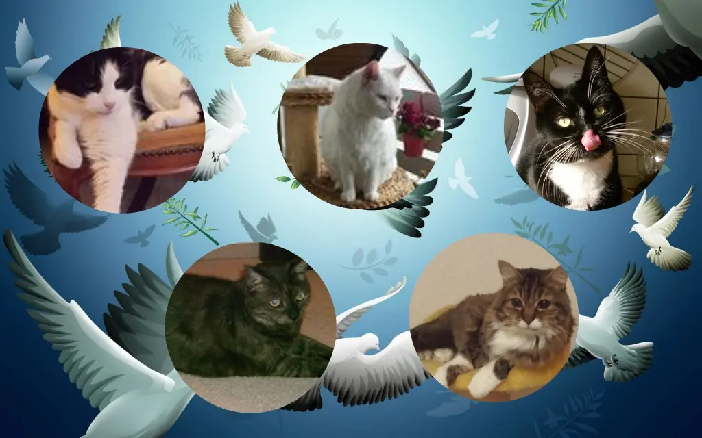 Andachtsbild von ❤️❤️❤️