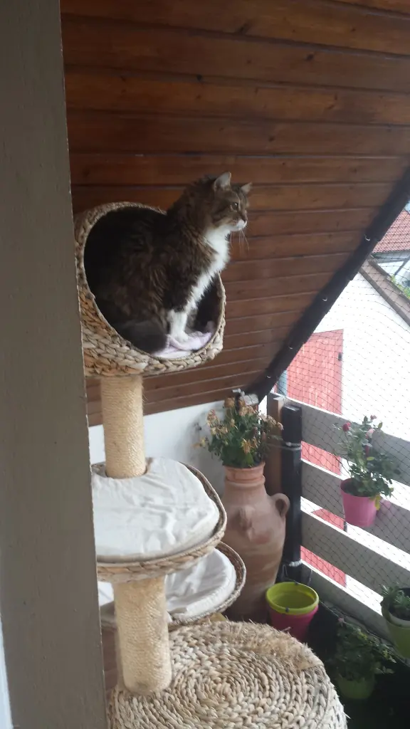 Andachtsbild von deiner Ilse in Liebe