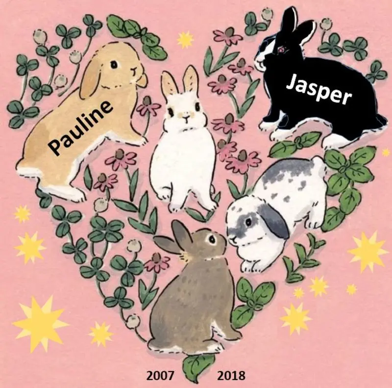 Andachtsbild von Rosen für Jule