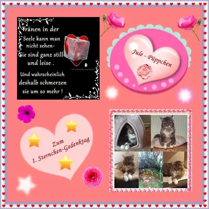 Andachtsbild von deiner Ilse zum 1. Sternchen-Geburtstag