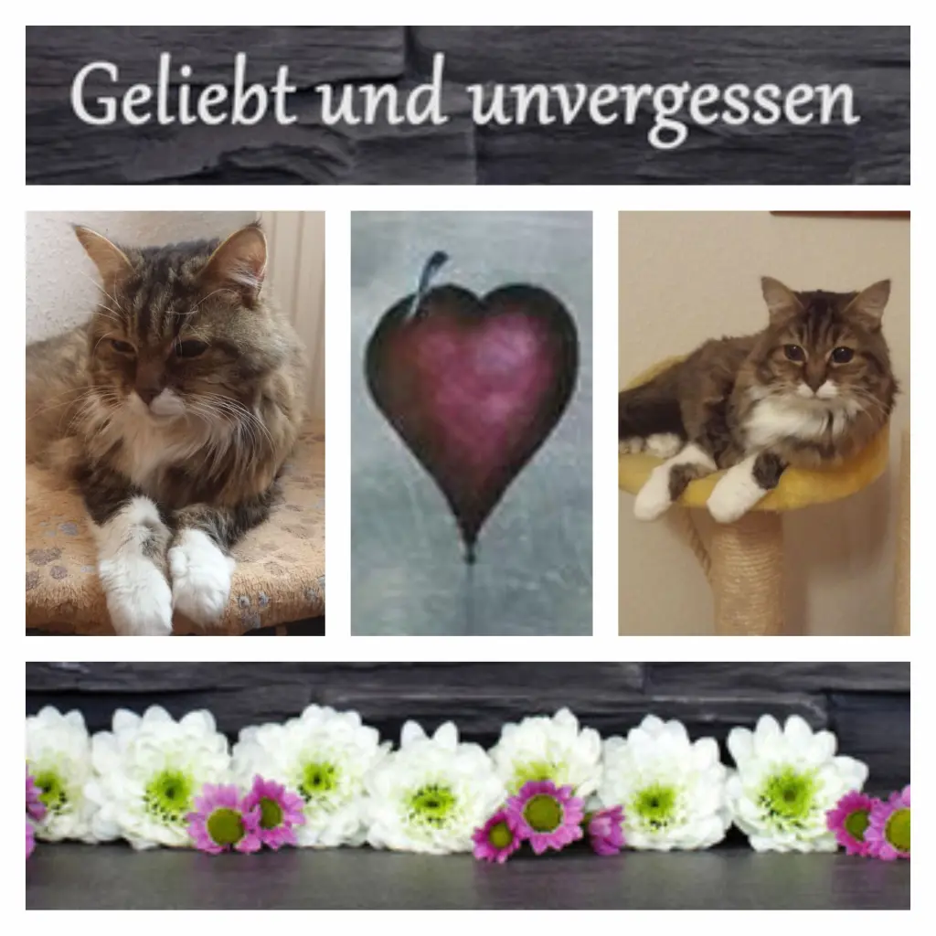 Andachtsbild von Anja mit Joy im Herzen ❤