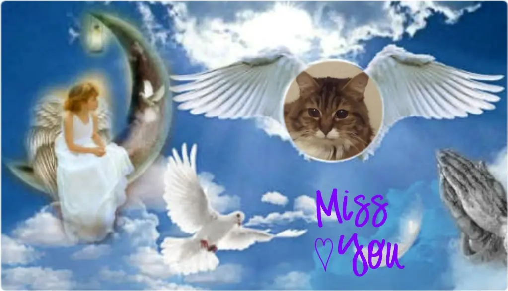 Andachtsbild von ❤️❤️❤️JULCHEN❤️❤️❤️