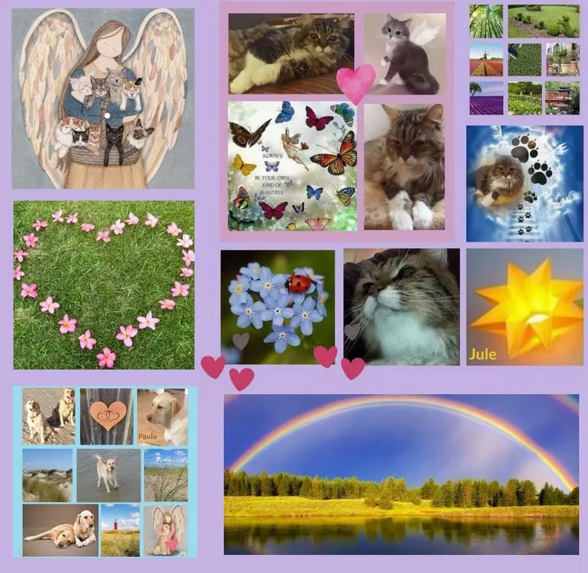 Andachtsbild von Rosen für Jule