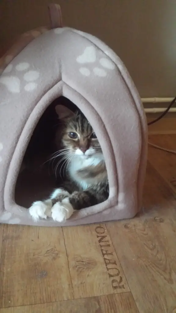 Andachtsbild von deiner Ilse, 13 Monate ohne dich