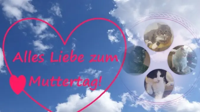 Andachtsbild von ❤️MAMA❤️