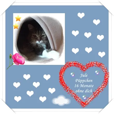 Andachtsbild von deiner Ilse, 1 Jahr und 4 Monate ohne dich