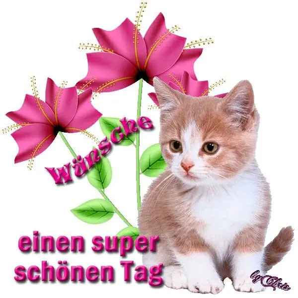 Andachtsbild von Montags Rosen für Jule ♥️♥️