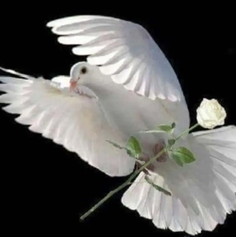 Andachtsbild von Tanja mit Timmy im Herzen 