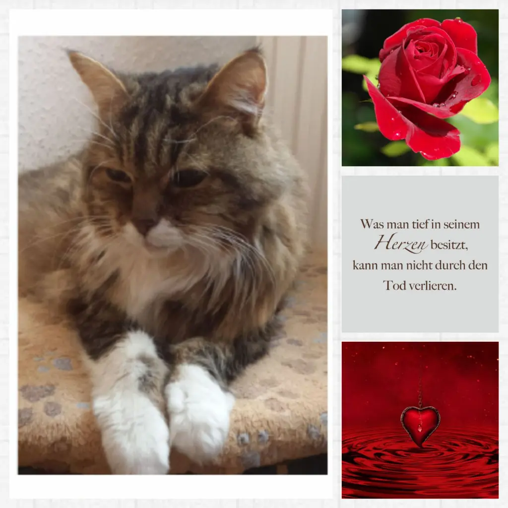 Andachtsbild von Anja mit Joy im Herzen 