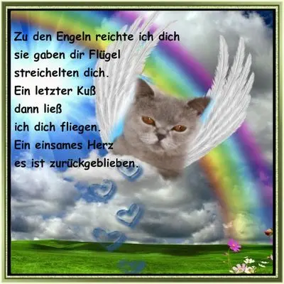 Andachtsbild von Tanja mit Timmy im Herzen 