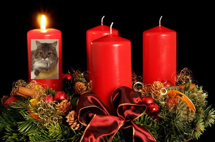 Andachtsbild von ❤️1. Advent❤️