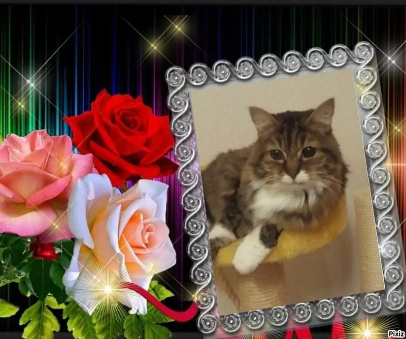 Andachtsbild von Jutta mit Purzel tief im Herzen✟08.05.2016