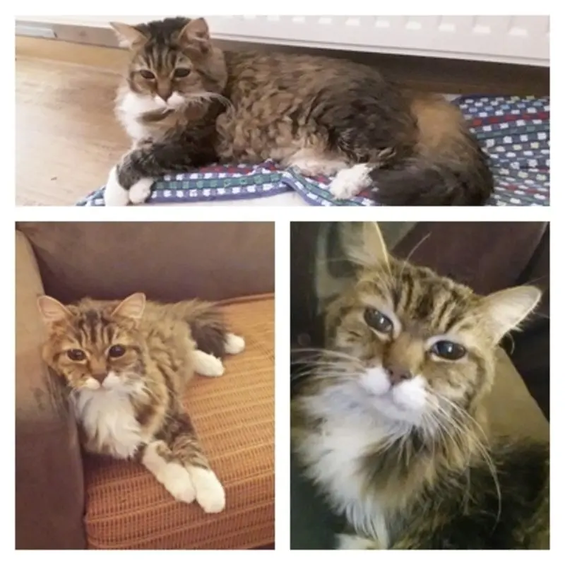 Andachtsbild von deiner Ilse in Liebe zum 18. Geburtstag