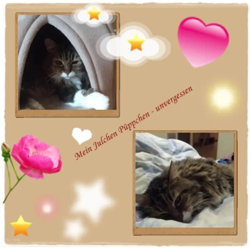 Andachtsbild von deiner Ilse, 23 Monate ohne dich