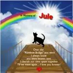 Andachtsbild von Tanja mit Timmy im Herzen 