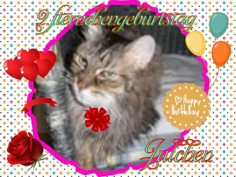 Andachtsbild von ❤Eike und Edeltraud mit Mulle, Miezi, Jonny, Felix, Lemmi, Tommi und Kira tief im Herzen ❤